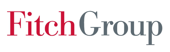 Fitch Group